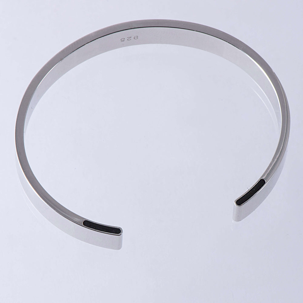 Sterling Silver and Enamel Torque Bangle